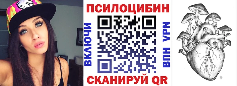 Галлюциногенные грибы Psilocybine cubensis  закладка  Инта 
